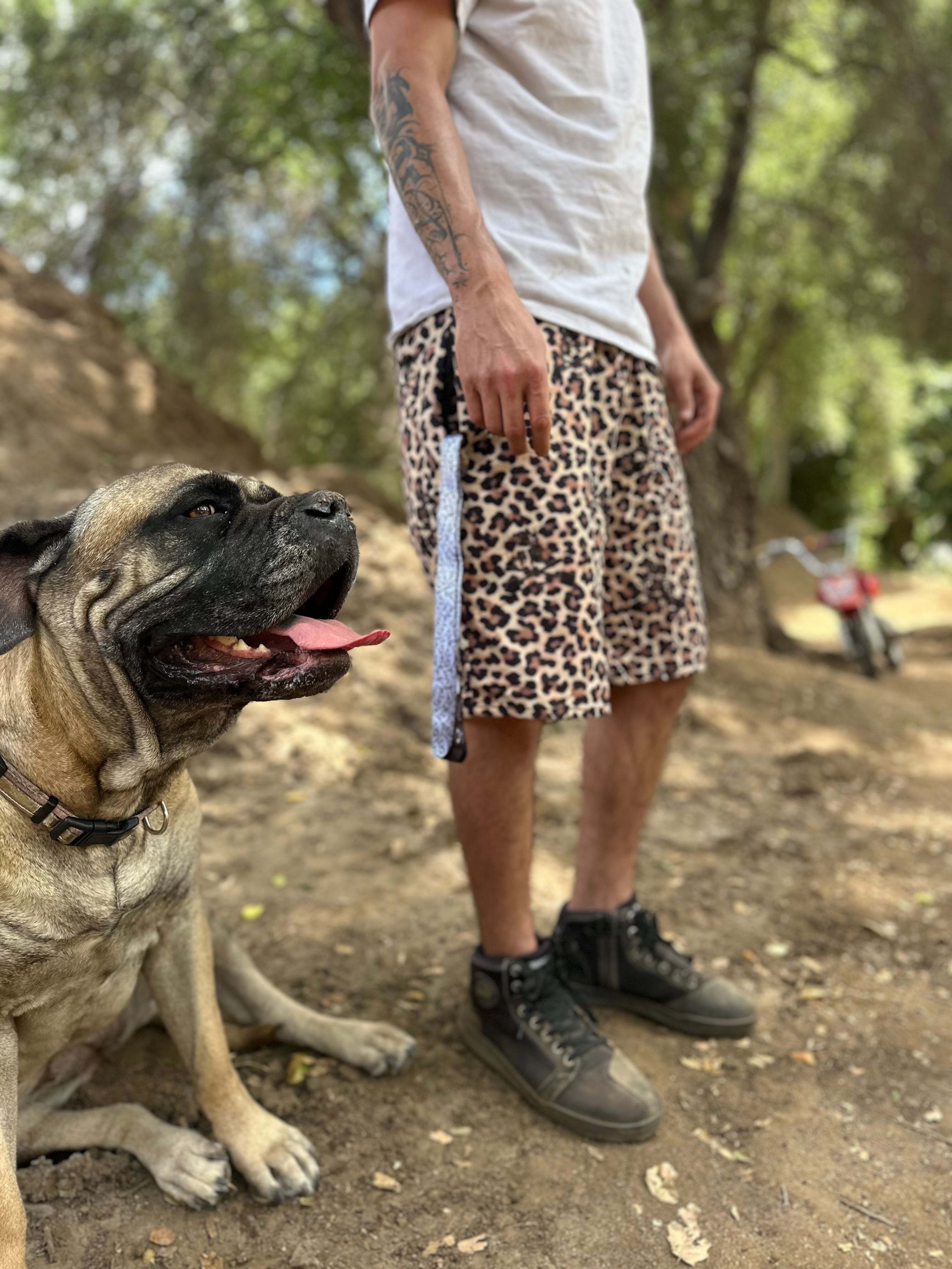 FFC LEOPARD PRINT SHORTS
